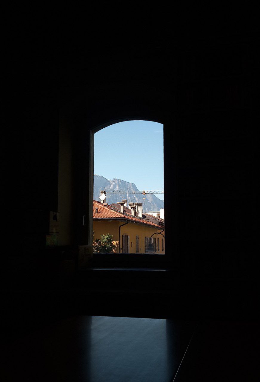 library-window.jpg